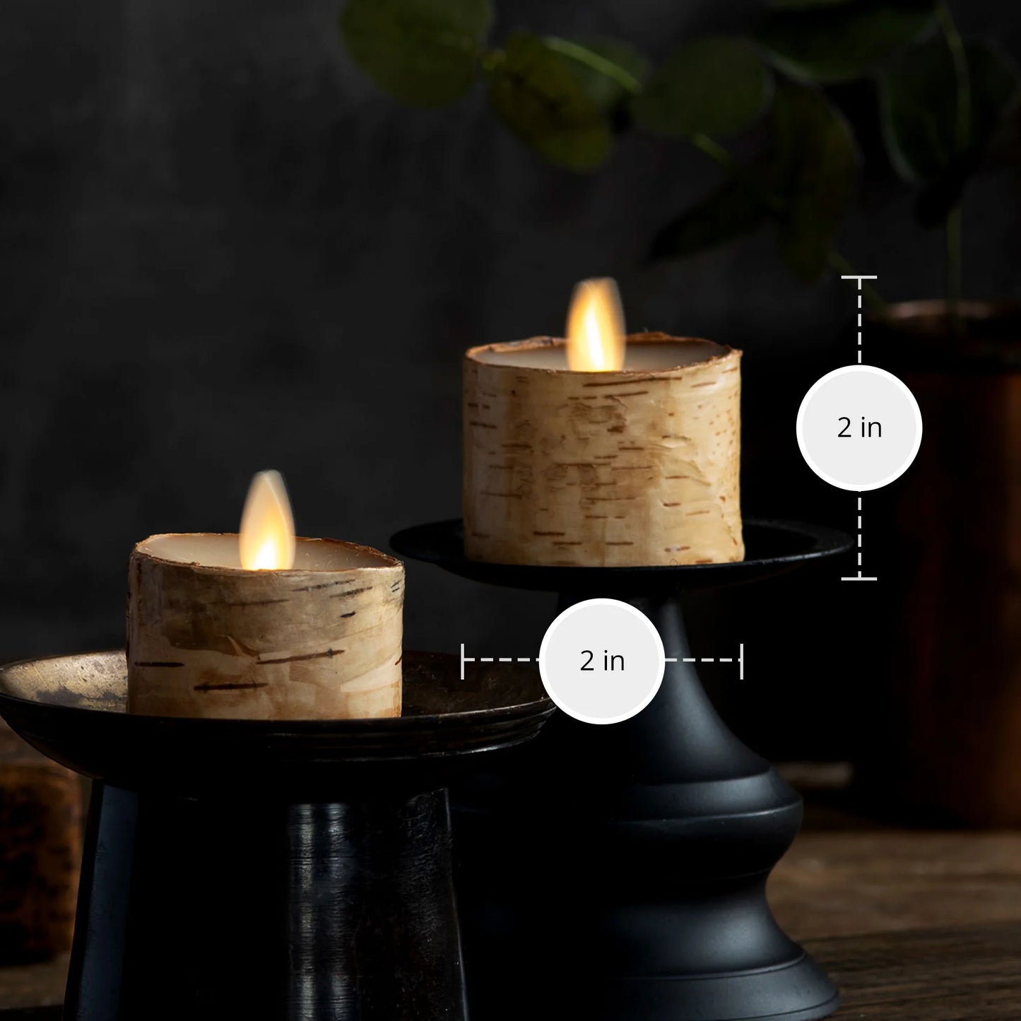 Real Birch Flameless Candle Tealights - Recessed Top - Set of 2